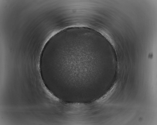 X0000101710797200807241454