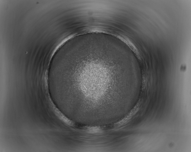 X0000101710798200807241454