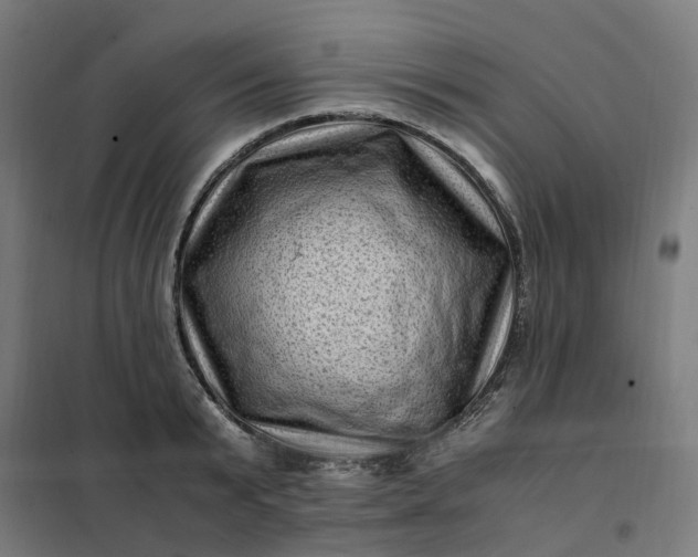 X0000101710799200807241454