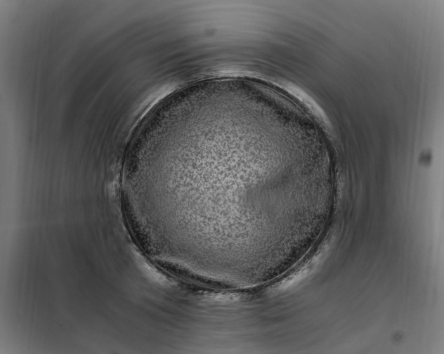 X0000101710801200807241454