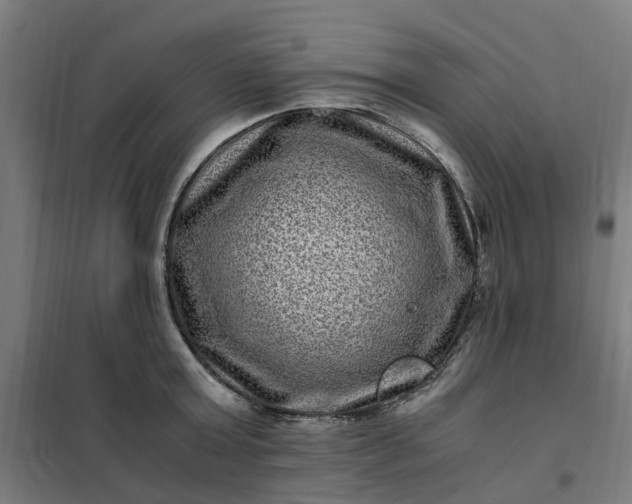 X0000101710803200807241454