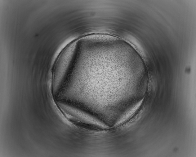 X0000101710804200807241454