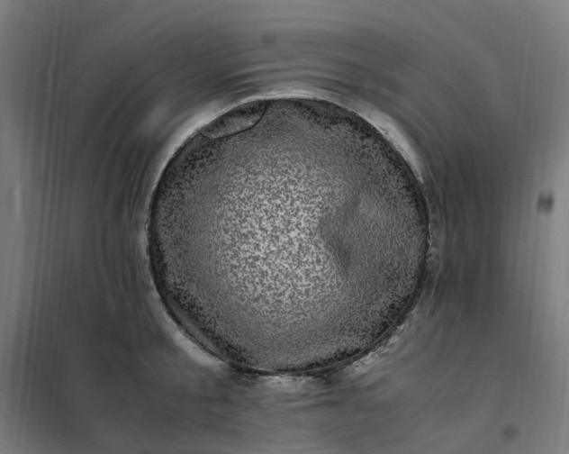 X0000101710805200807241454