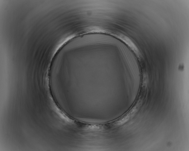 X0000101710806200807241454