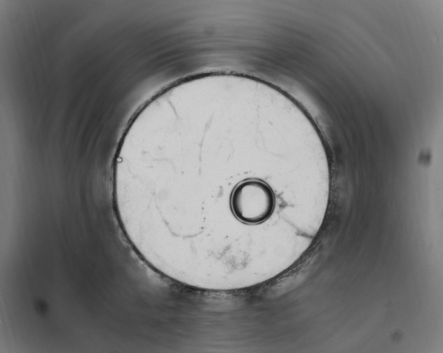 X0000101710807200807241454