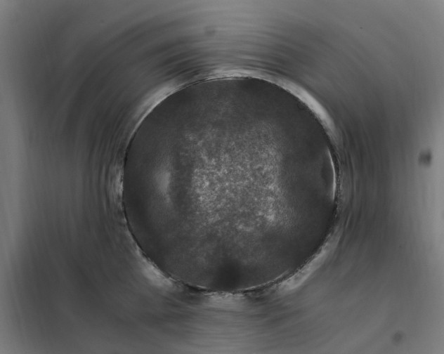 X0000101710809200807241454