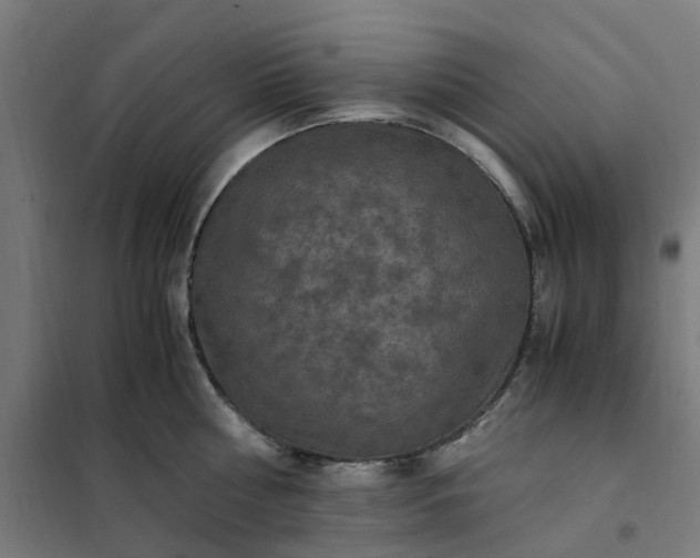 X0000101710810200807241454