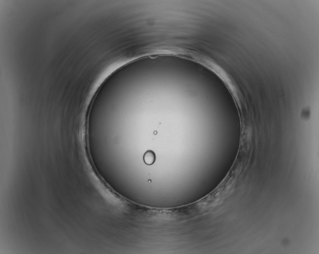 X0000101710811200807241454