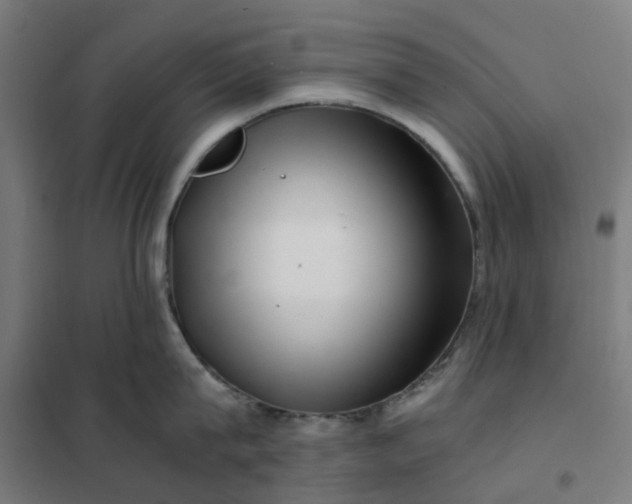 X0000101710815200807241454