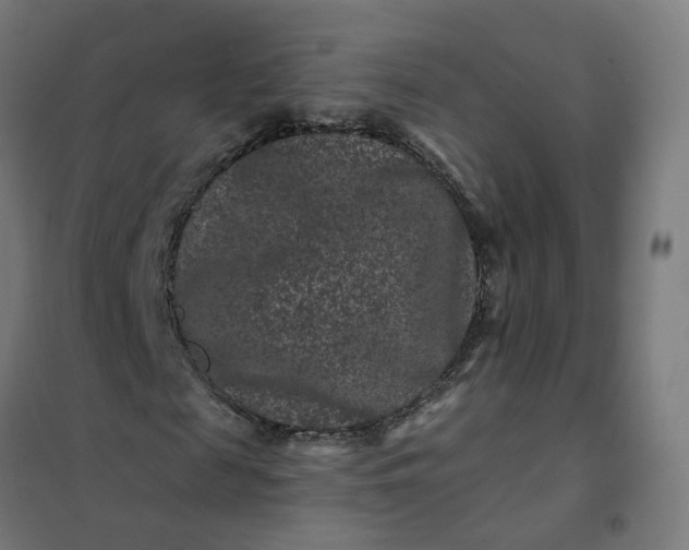 X0000101710817200807241453