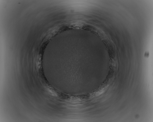 X0000101710818200807241453