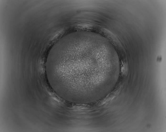 X0000101710819200807241453