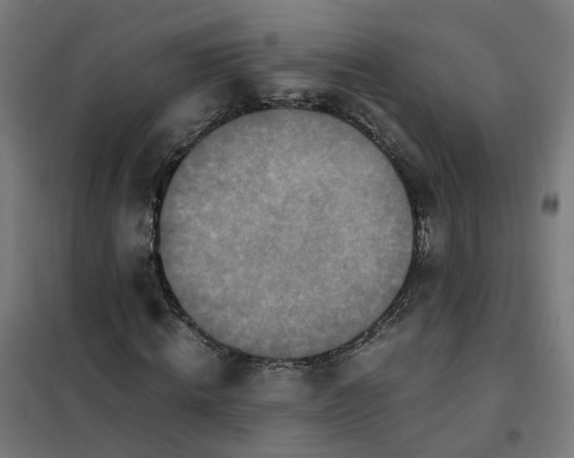 X0000101710820200807241453