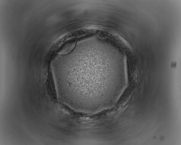 X0000101710821200807241453