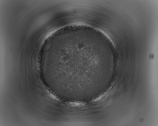 X0000101710823200807241453