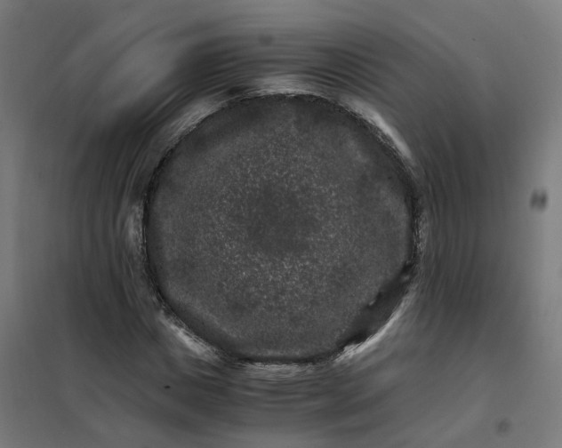 X0000101710825200807241453