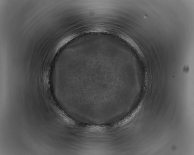 X0000101710826200807241453