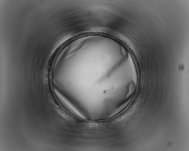 X0000101710827200807241453