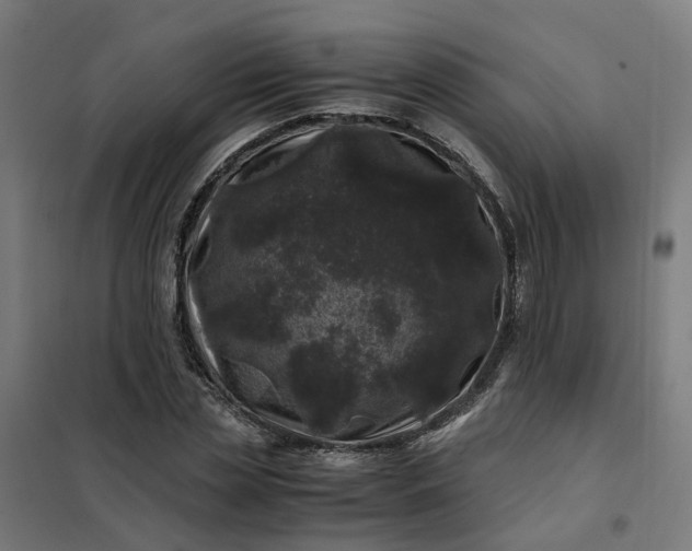 X0000101710829200807241453