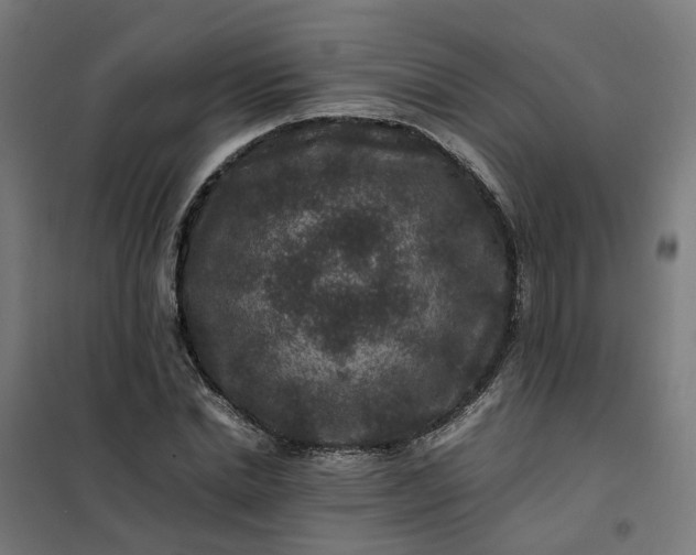 X0000101710830200807241453