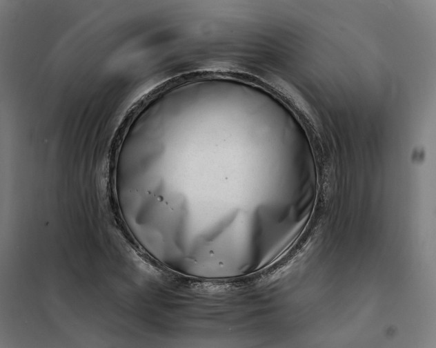 X0000101710831200807241453