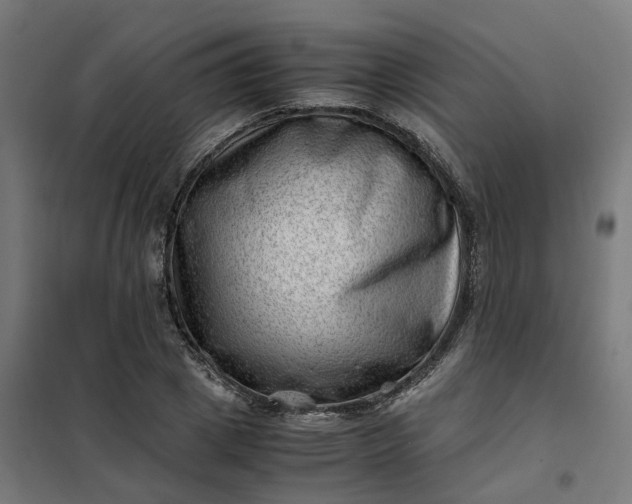 X0000101710833200807241454