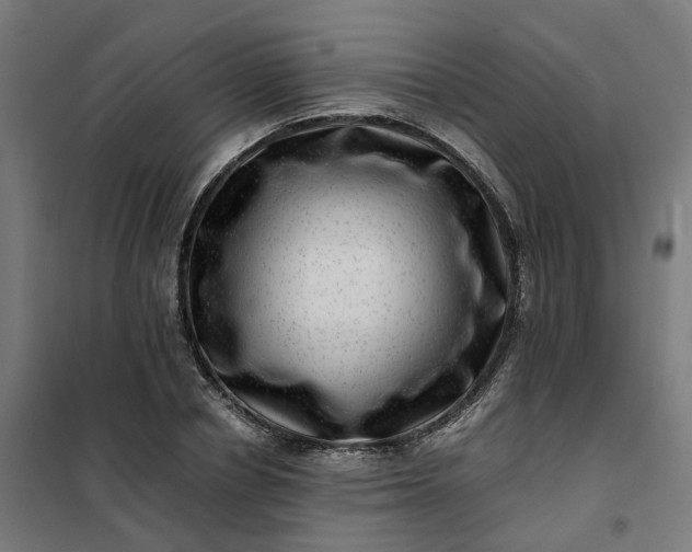 X0000101710834200807241454