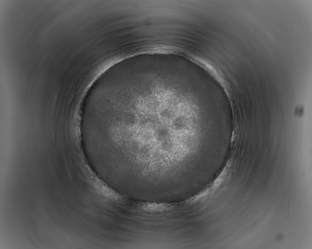 X0000101710835200807241454