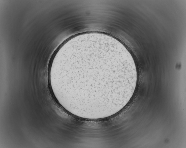 X0000101710836200807241454