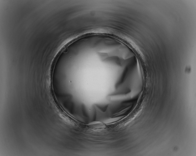 X0000101710837200807241454