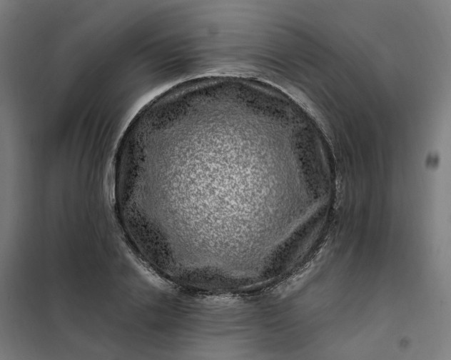 X0000101710838200807241454