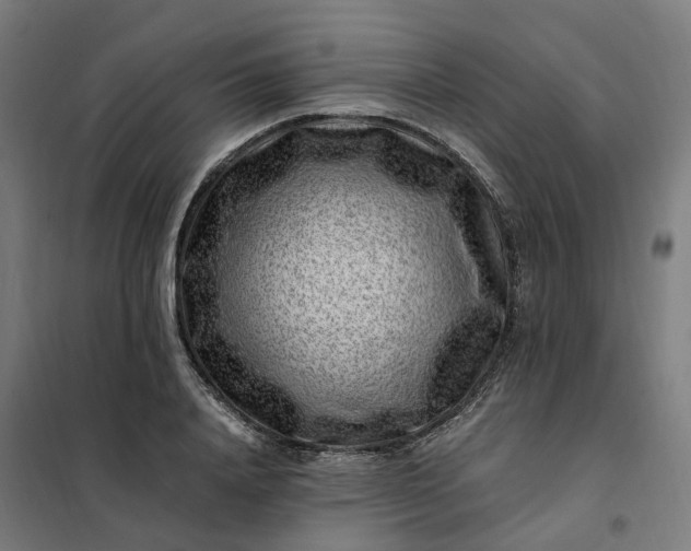 X0000101710840200807241454