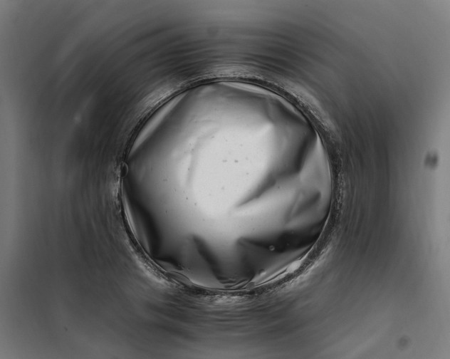 X0000101710841200807241454