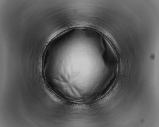 X0000101710842200807241454