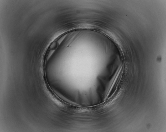 X0000101710843200807241454