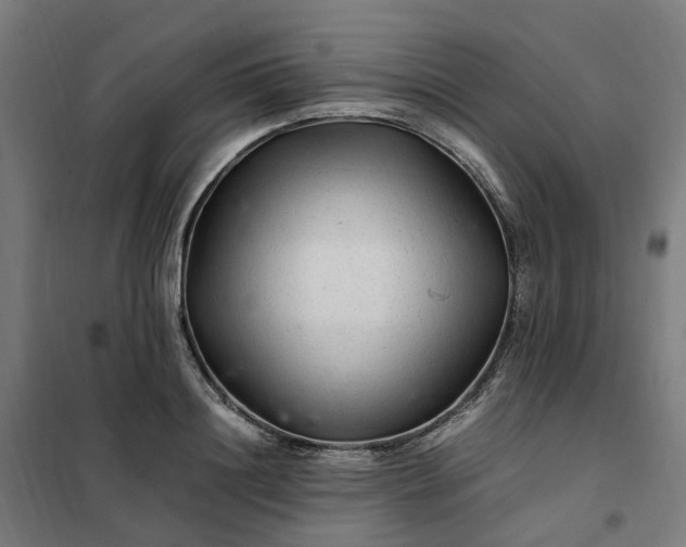 X0000101710844200807241454