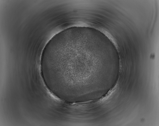 X0000101710845200807241454