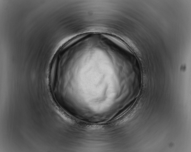 X0000101710846200807241454