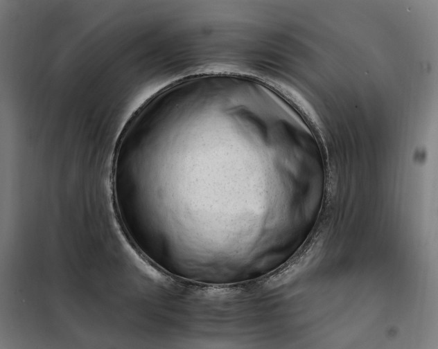 X0000101710847200807241454