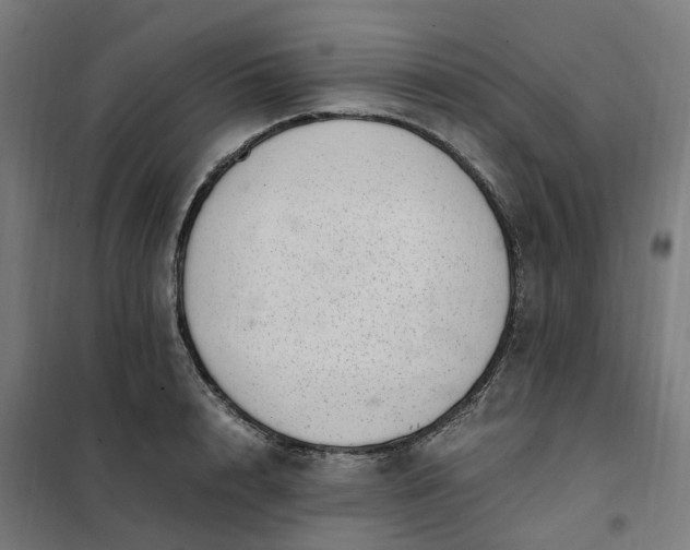 X0000101710848200807241454