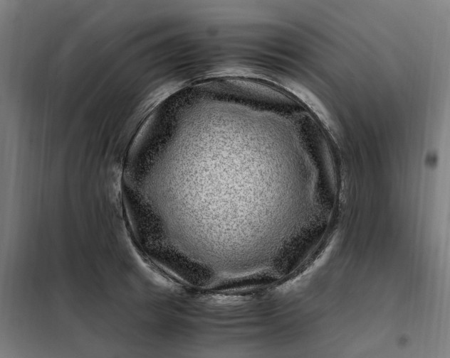 X0000101710849200807241454