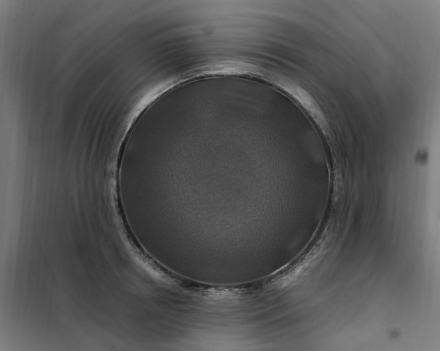 X0000101710850200807241454