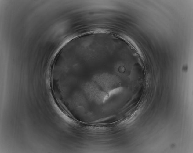 X0000101710851200807241454