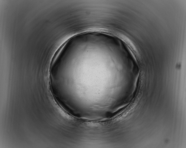 X0000101710852200807241454