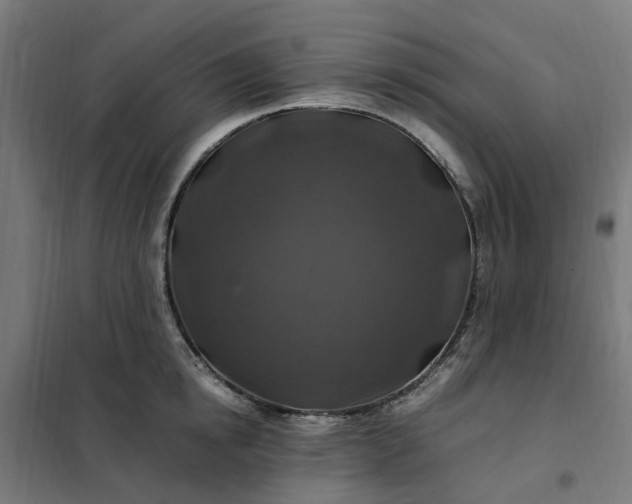 X0000101710854200807241454