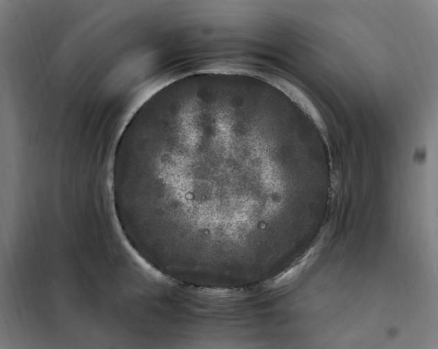 X0000101710855200807241454