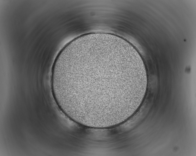 X0000101710856200807241454