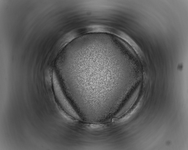 X0000101710857200807241454