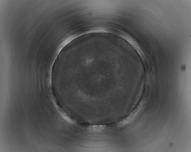 X0000101710858200807241454