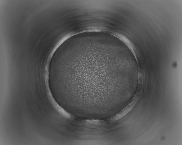 X0000101710859200807241454